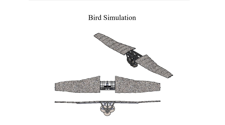 Bird-Simulation